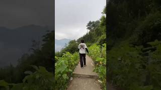 #toshvillage #kasol #kutla #himalayanvalley #peaceful #parvativalley #psytrance #nature  #travel