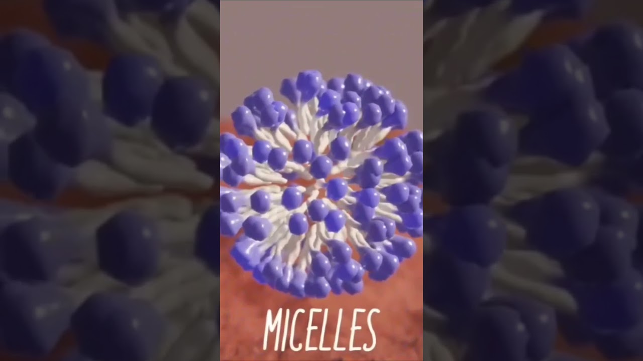 How does the soap work? Micelles 