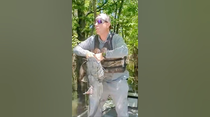 BAGRE Y EJERCICIO #pesca #pescacatfish #bagre #pantalones cortos #entrenamiento