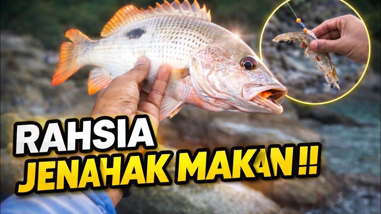 UNLOCK SPESIS BARU..MEMANG RANCAK DIA PUNYA FIGHT !!