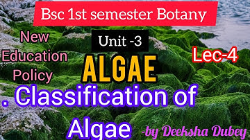 Classification of Algae ||bsc 1st sem Botany, unit-3|| Phycology ||#bsc#bscbotany#botany#bsc1stsem