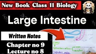 Large Intestine | Human Digestive System | Class 11 Biology | FSc Part 1 | NEET 2026 | Written Notes