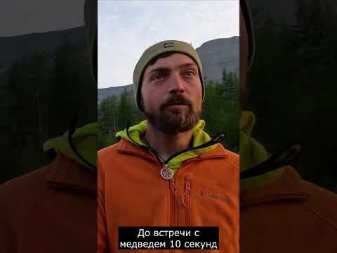 Видео: Встретил медведя в лесу #mountains #природа #travel