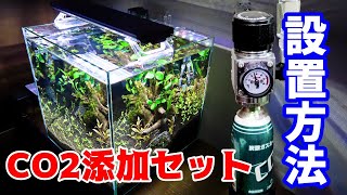 【水草水槽立上/CO2添加・設置方法】流木に水草活着+水草植栽、そしてCO2拡散器を設置、赤系のクリスマス仕様アクアリウムになるか【水草活着方法+水槽へのCO２添加器具の設置方法 】熱帯魚飼育