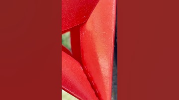 IPM Shorts: INSECT TRAP (They Can