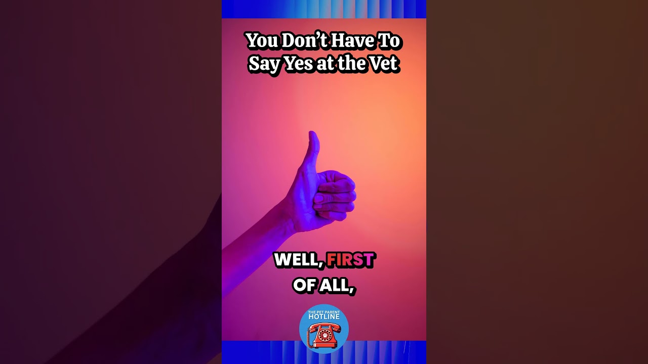 You Dont Have To Say Yes at the Vet Here’s How To Say No You Dont Have To Say Yes at the Vet Here’s How To Say No
