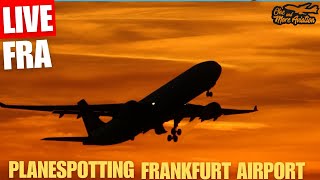 🔴Live Late Night Planespotting Frankfurt Airport🌒