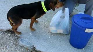 MVI_7751.AVI