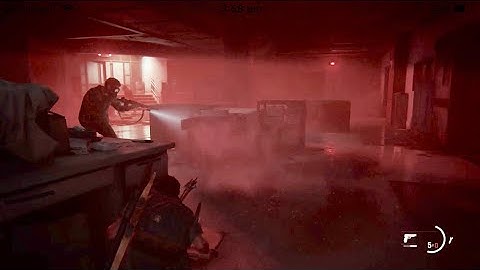 The Last of Us™ Part II Mary