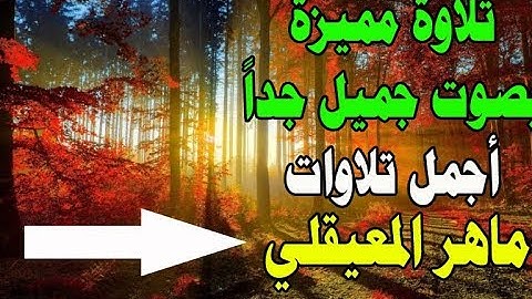 60 Surat Almumtahana قران بصوت جميل جدا جدا ماهر المعيقلي سورة الممتحنة