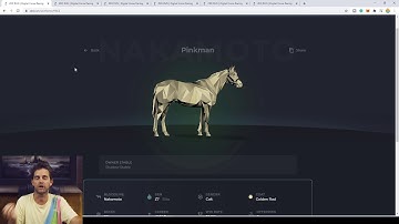 Zed Run Cracking the Breeding Code