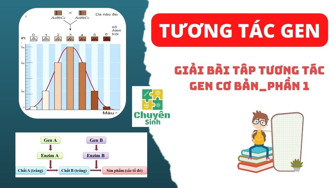 Giải bài tâp tương tác gen cơ bản phần 1