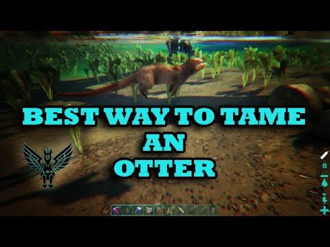 Il modo migliore per domare una lontra Ark: tutorial