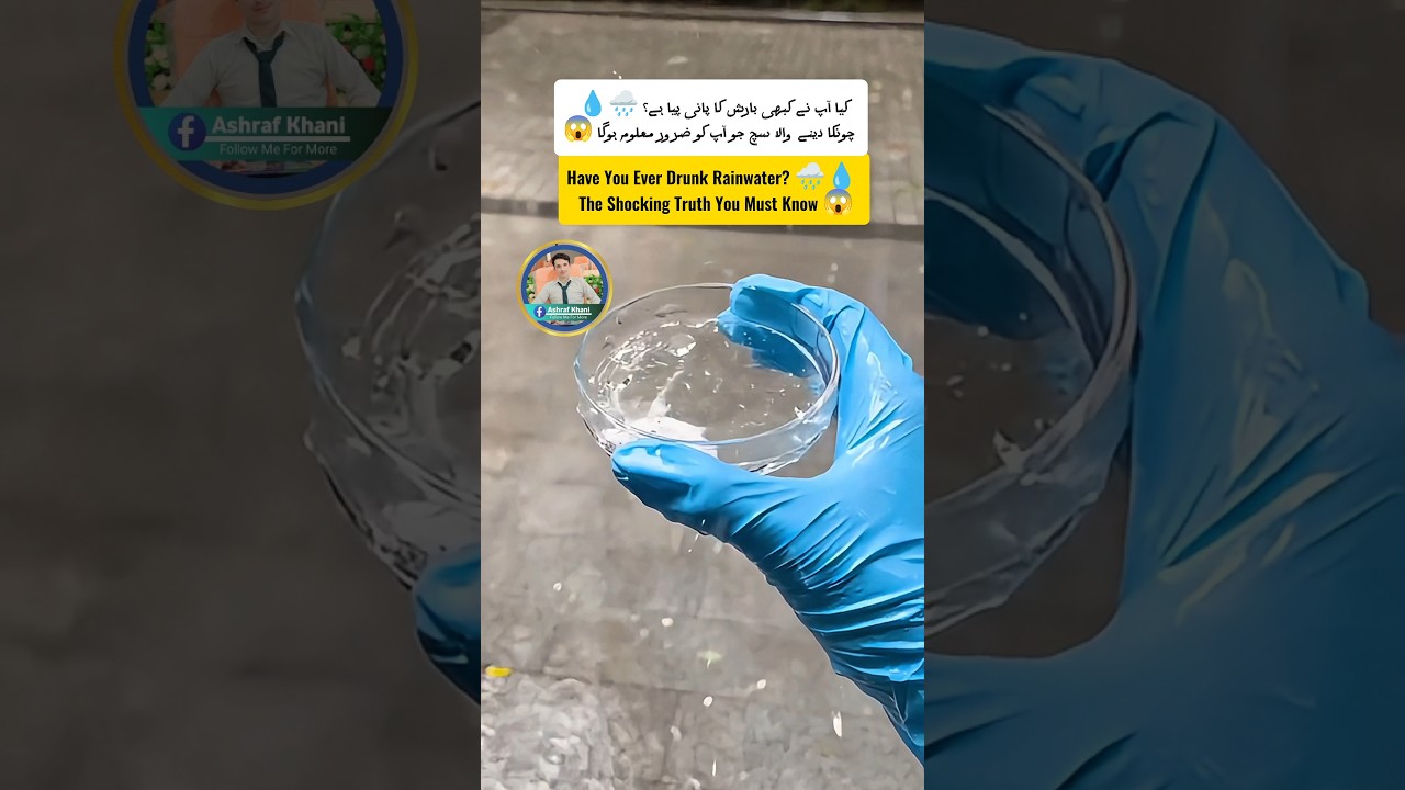 Have You Ever Drunk Rainwater? 🌧️🤯 — The Shocking Truth You Must Know!