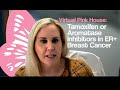 Virtual Pink House: Tamoxifen & Aromatase Inhibitors in ER  Breast Cancer
