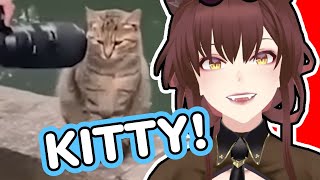 He's Way Too Close! | Saeko Reacts To Unusual Memes V265