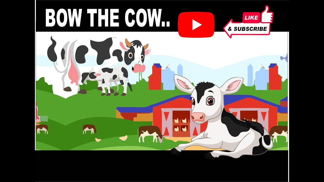 Bow _the_ cow..🙏