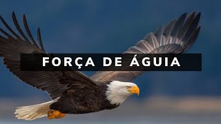 FUNDO MUSICAL: FORÇA DE ÁGUIA (ORAÇÃO/PREGAÇÃO/MEDITAÇÃO)