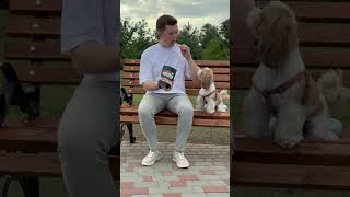 М'ясні сушені чипси зі свіжої курячої грудки від Practik