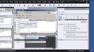Adobe Captivate: Remove Click Sounds
