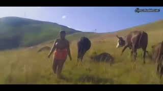 Approaching the girl in Zulu Culture (Ukumiswa kwentombi)