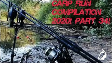 Carp Run COMPILATION 2020! PART 34!