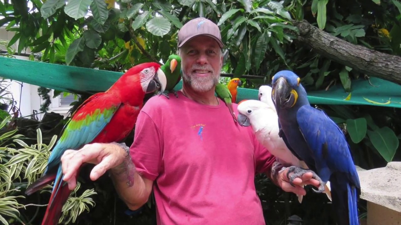 HONOLULU, HAWAII. THE FAMOUS BIRD GUY OF HAWAII IS LOOKING FOR LOVE