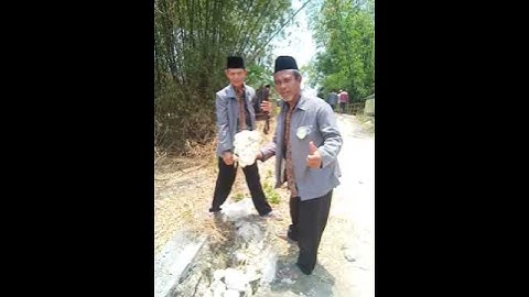 Penemuan Telur Ular Piton