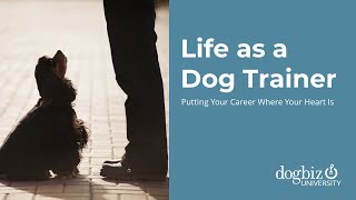 Career as a Dog Trainer
