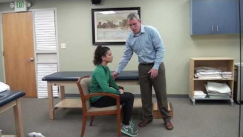 Lumbar extensor muscles