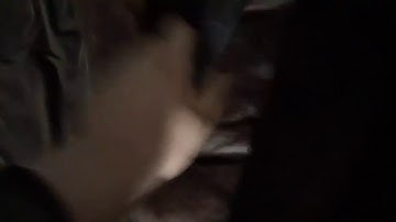 DVD Collection in a Nutshell (Version 4)