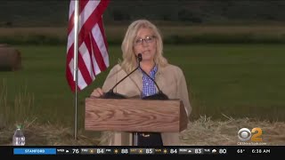 Rep. Liz Cheney defeated in Wyoming primary election