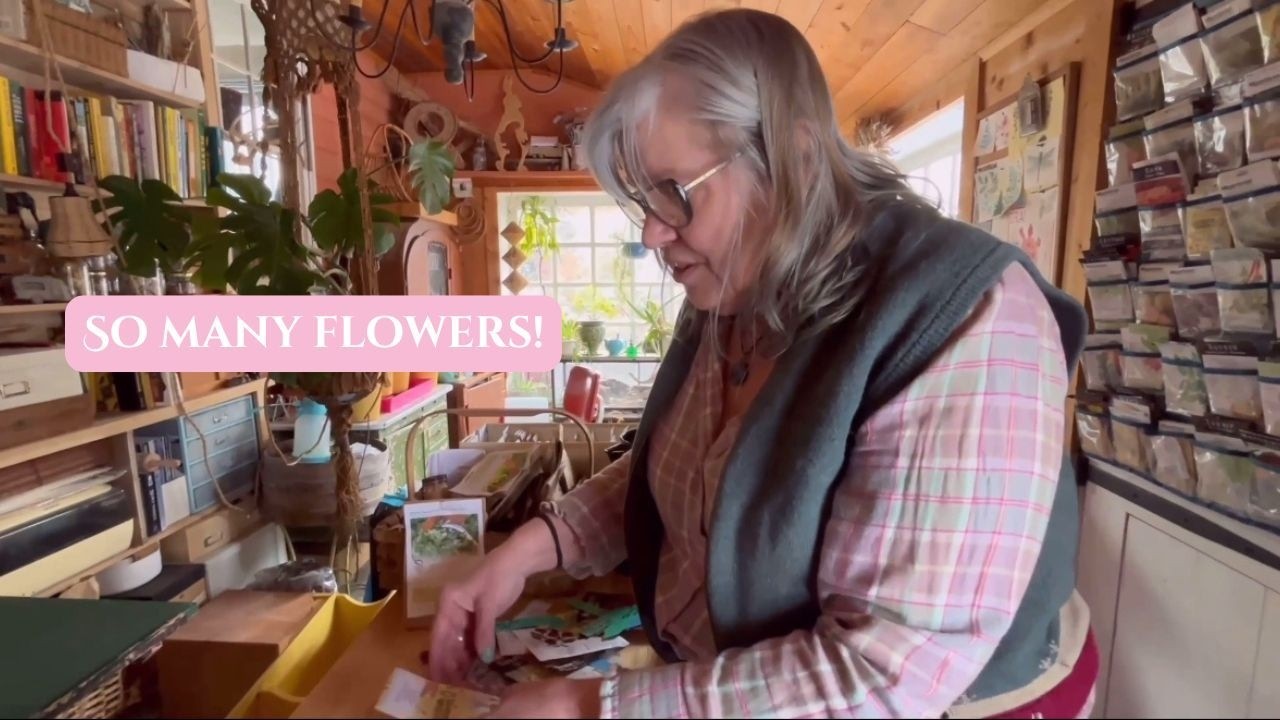 What Flowers Are We Planting for Spring? | Sandyhaven Homestead