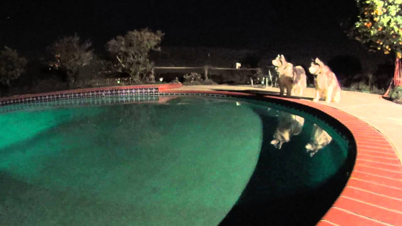 La Habra Quake  POOL  SURGE