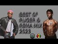 BEST OF RUGER REMA MIX 2023 BY Djlorza LATEST SONGS HOLIDAY ASIWAJU CALM DOWN DIOR