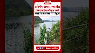 Buldhana | ज्ञानगंगा अभयारण्यातील पलढग डॅम ओव्हरफ्लो | Gyanganga Sanctuary Dam Overflow News