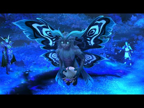 Lire la vidéo YouTube