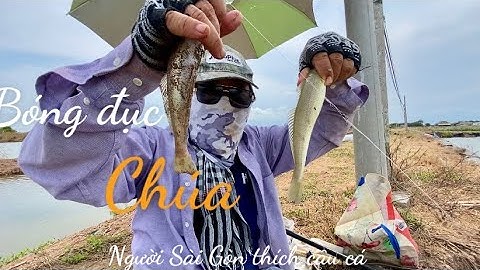 Chia sẻ Câu cá bống đục khủng Long ở ruộng muối lý Nhơn cần giờ.