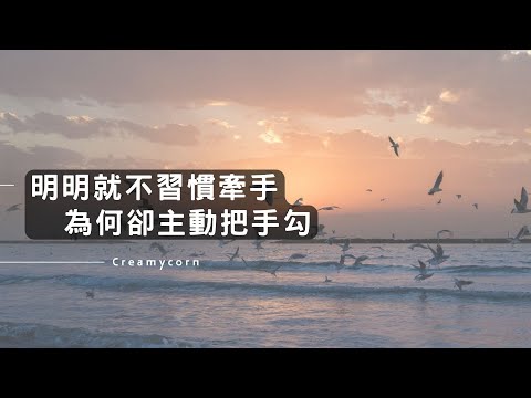 楊雪婧 - 明明就（原唱：周杰倫）