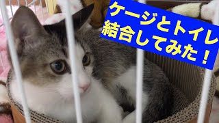 猫のケージとトイレってどうすればいいの〜？