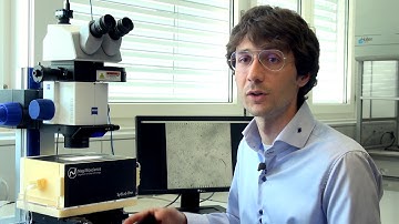 Worms in high-tech housing replace laboratory mice