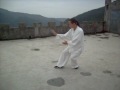 Wudang Tai Chi 48 Form by Yuan Li Min disciple Zhang Wei Hai 武当秘传48式太极拳