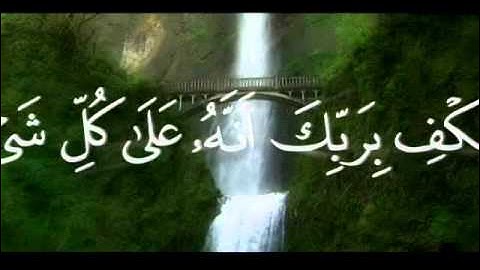سنريهم آياتنا في الآفاق- القارئ:محمد أيوب