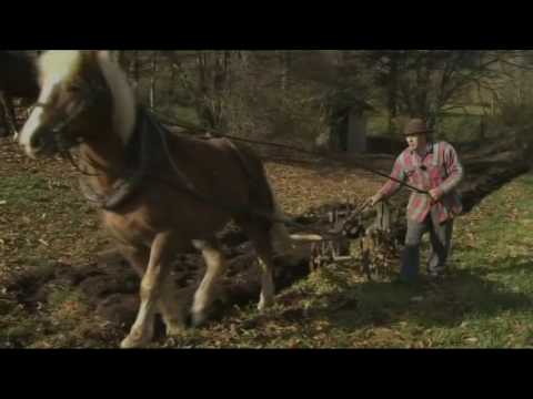 Une charrue pour bien labourer