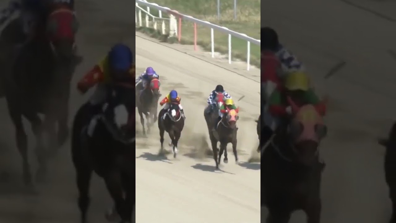 123배적중 4방으로