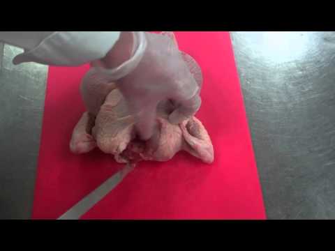 Removing the Wishbone from a Chicken
