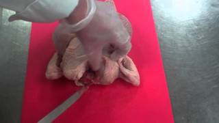 Removing The Wishbone From A Chicken