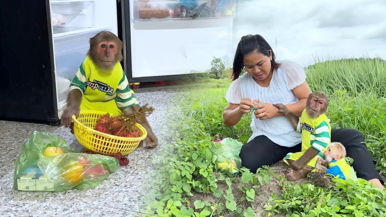 So Sweet! CUTIS's Secret Plan For A Special Mother Son Picnic!