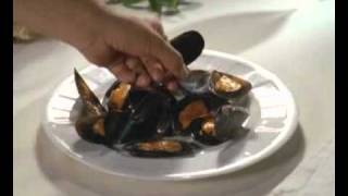 Spot mejillon de galicia