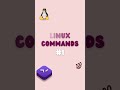 Linux Commands #1: Understanding the PWD Command 🐧 #linux #coding #tech #programming #shorts